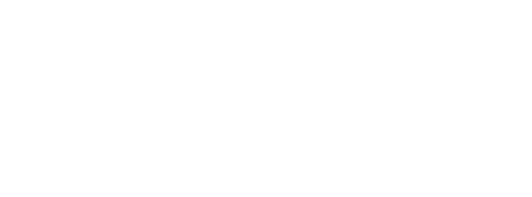 Guidon